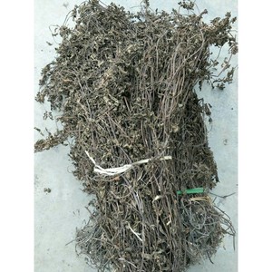 Gelée d'herbe Mesona Chinensis noire biologique 90 kg ou 60kg par balle Prix de gros - Product Image 1