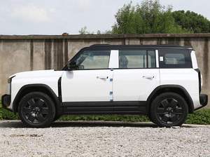 2025 03 T 4WD รุ่นระยะไกลพิเศษ 5 ประตู 5 ที่นั่ง รถ SUV ขนาดเล็กพลังงานไฟฟ้าล้วน สหรัฐอเมริกา มีสินค้าในสต็อก - Product Image 5