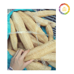 Vietnam Whole Loofah Gourd Dried and Readyfor Use in Non-Edible Utility Packaging with Bulk Distribution for International Trade - Product Image 6