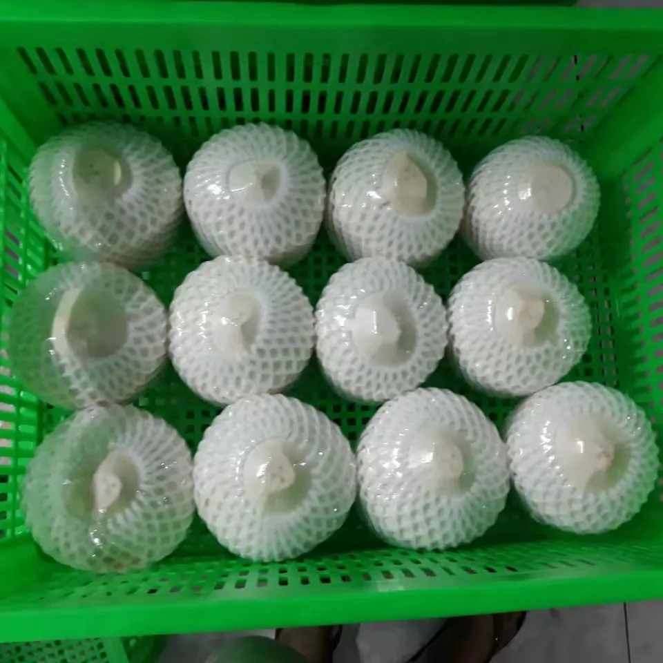 Wholesale Tropical Fresh Coconut Diamond Cut Easy Open Young Coconut Water Juice from Vietnam Bulk Packing