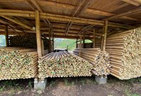 Poteau en bambou naturel solide du Vietnam pour la décoration intérieure et extérieure-bon marché écologique à faible taxe