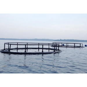 Cage à poisson HDPE de meilleure qualité pour l'aquaculture Équipement d'élevage de tilapia fabriqué au Vietnam - Product Image 4