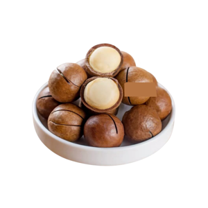 Nueces de macadamia de gran tamaño, nueva cosecha, de alta calidad, venta al por mayor de fábrica. - Product Image 3