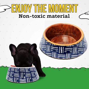 ชามอาหารสัตว์เลี้ยงโลหะแบบพรีเมี่ยมสำหรับสุนัขและแมวทำจากสเตนเลสสตีลทนทานกันลื่นสินค้าขายดีกำลังมาแรงสำหรับให้อาหารสัตว์เลี้ยง - Product Image 6