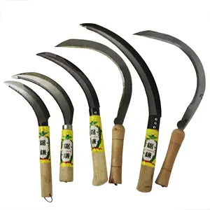 Sicules - Product Image 1