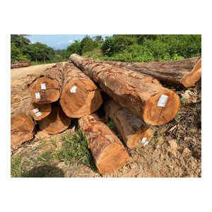 Troncos de calidad fina disponibles en volumen para la industria del mueble y la madera - Product Image 4