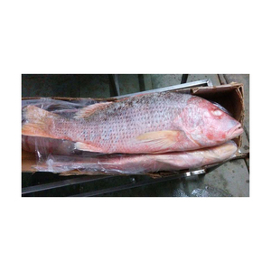 Poisson rouge congelé en gros, destiné aux commandes de grande quantité et à la distribution au détail - Product Image 4