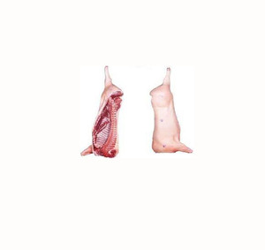Carcasse congelée de viande de porc d'approvisionnement en gros de haute qualité - Product Image 1