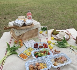 Panier de fruits de pique-nique carré tissé en rotin et bambou, en osier, autres rangements 99GD - Product Image 5