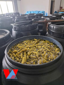 Pepinillos en Salmuera/ Pepinos Bebé para Marca Privada/ Sra. Lima - Product Image 4