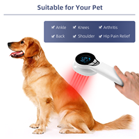 Nouvelle thérapie au Laser froid vétérinaire 650nm 808nm pour le soulagement de la douleur de l'arthrite de chien de cheval baguette de guérison de blessure d'acupuncture de lumière rouge
