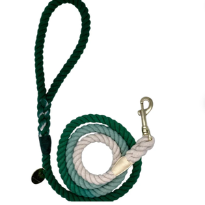 Green Ombre Cotton Rope Dog <b>Leash</b> - Product Image 1