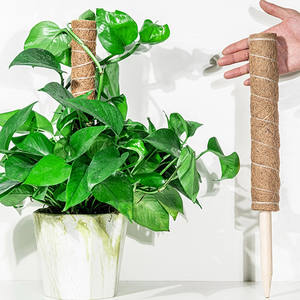 Bâton de culture de plante de coco naturelle de qualité supérieure bâtons de poteau de soutien de plantation durable pour l'exportation - Product Image 1