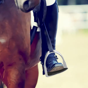 Estribos de Seguridad de Alta Calidad, Resistentes al Agua, de Alta Resistencia, Precio de Mayoreo, Nuevo Modelo, Estribos de Seguridad - Product Image 6