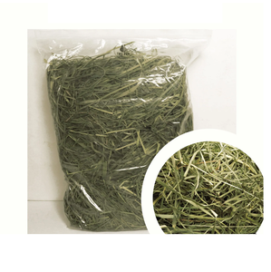 High Protein Orchard Grass Bales Wholesale <b>Supply</b> Alfafa Hay./Lucerne Bales - Product Image 5