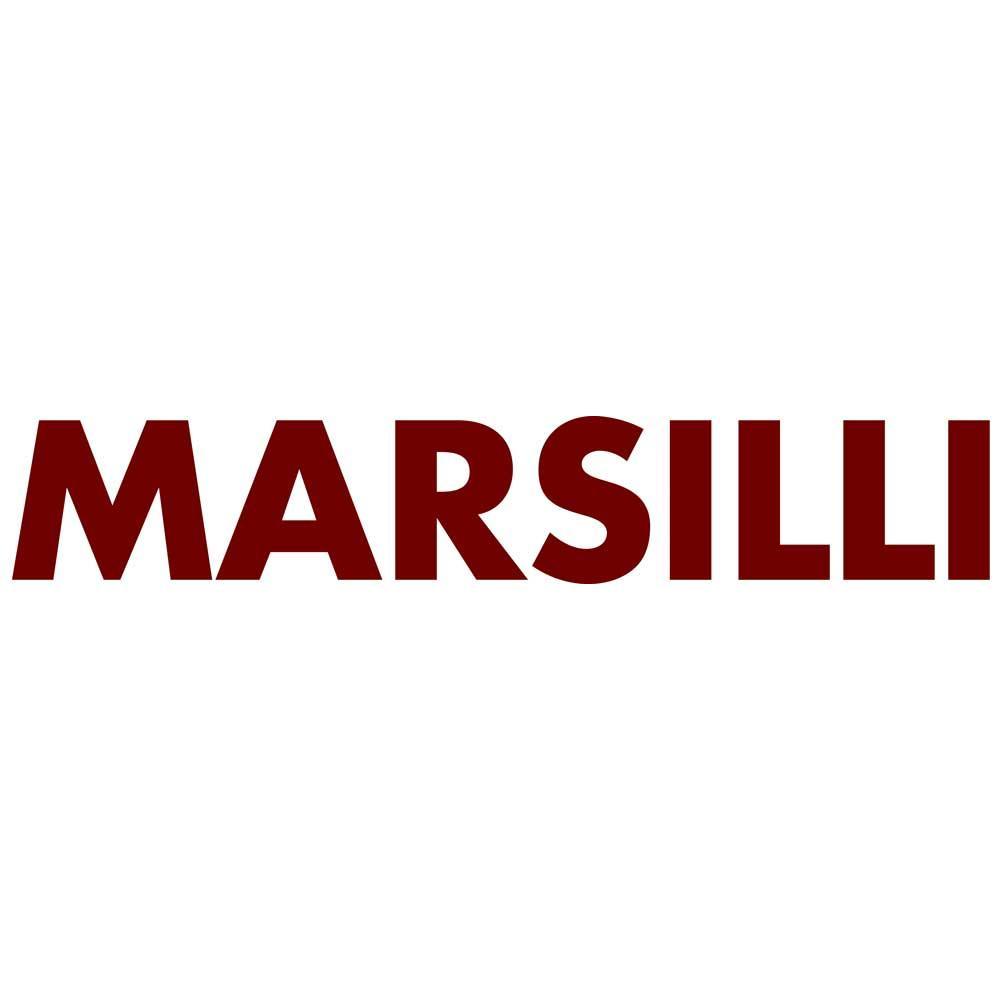 Marsilli Deutschland GmbH logo