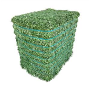 High Quality Alfafa Hay <b>for</b> Animal Feeding Stuff Alfalfa / Timothy / Alfalfa Hay <b>for</b> <b>Sale</b> - Product Image 6