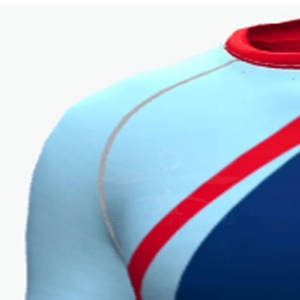 Venta al por mayor, superventas, alto rendimiento, MMA, Rash Guard, ropa de entrenamiento, transpirable, venta en línea, Rash Guard - Product Image 5