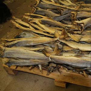High Quality Dry Stock Fish / Dry Stock Fish Head / Dried Salted <strong>Cod</strong> - Product Image 4