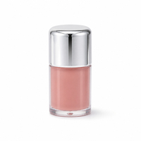 Tube de gloss à lèvres mini format marque privée, bouchon argenté personnalisé, vente en gros de gloss à lèvres, fournisseur d'emballages d'huile à lèvres, OEM ODM, faible MOQ