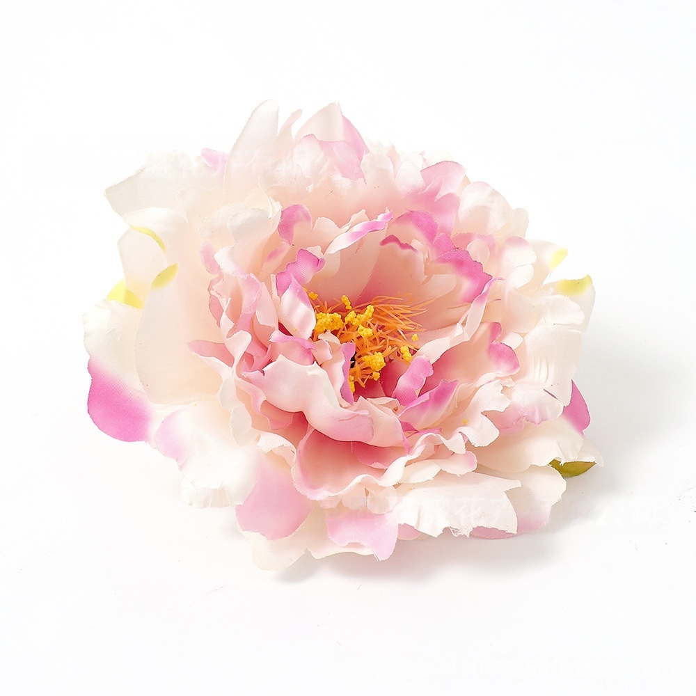 Rose-2