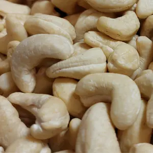 Cashewnoten 10 Kg Kaju Badam Snack Ruwe Cashewnoten Private Label Verpakking Beschikbaar Whatsapp + 84931697868