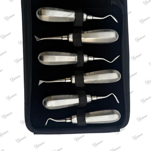 Kit de Elevadores de Raíces Luxantes Premium, 12 Piezas, Acero Francés, Juego de Instrumentos Quirúrgicos Dentales con Punta Afilada - Product Image 2