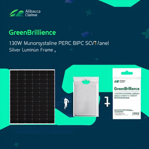 Panel Solar Monocristalino PERC BIPV GreenBrilliance de 130W con Certificado TUV y Marco de Aluminio Plateado - Product Image 2