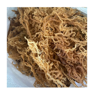 Musgo marino seco de Vietnam Eucheuma Cottonii algas marinas musgo irlandés espesante natural para salsas, base de Gel vegano y estabilizador de gelatina - Product Image 4