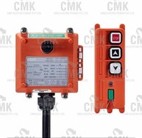 Télécommande sans fil CMK F21-2D pour grue, clé magnétique, 2 boutons double vitesse, portée 100m, IP65, réseau 380V/24V, OEM 5A EOT