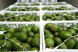 Rodajas de aguacate maduro congelado: etiqueta totalmente natural, limpia, adecuada para HoReCa y embalaje minorista/Sra. Lima - Product Image 2