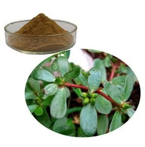 Purslane粉末エキスSaponins 50% <span class=keywords><strong>Oleracea</strong></span> Purslaneエキス - Product Image 2