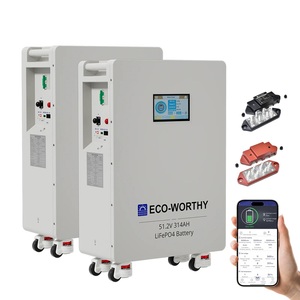 Batterie LiFePO4 de qualité supérieure ECO-WORTHY 32,15 kWh, pack de 2, 48 V, 314 Ah, vertical, pour alimentation de secours - Product Image 2
