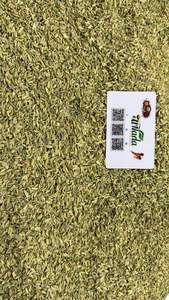 Graines de fenouil crues de haute qualité d'origine égyptienne pour la cuisine et la pâtisserie - Product Image 4