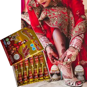 Natürliche 6 Farben Indische Zenia Henna Paste Zapfen Temporäre Tätowierung Körper kunst Mehandi Tinte