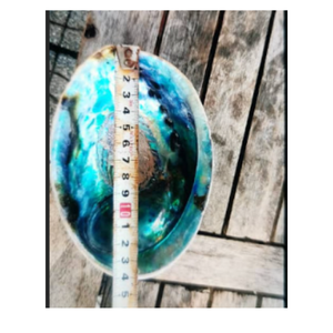 Coquille d'ormeau poli naturel, approvisionnement d'artisanat décoratif de l'usine du Vietnam - Product Image 3