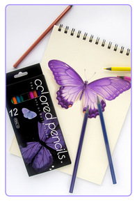 Crayons de couleur en plastique recyclé standard pour enfants, non toxiques, en vrac, 12/24 couleurs, Bview Art Factory - Product Image 5