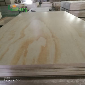 Contrachapado de Pino Radiata UV de Nueva Zelanda, Clasificación CARB P2, Envío al Mercado Norteamericano - Product Image 5