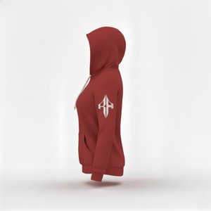 Sudadera con Capucha Regular de Alta Calidad para Mujer, 100% Algodón, Felpa de 300g, Secado Rápido, Transpirable, Informal de Invierno, con Capucha, OEM - Product Image 2