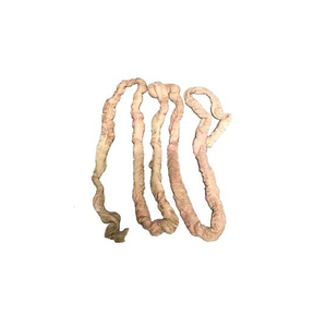 Intestino de cerdo salado a precio de fábrica, entrega rápida para pedidos al por mayor - Product Image 5