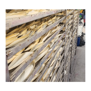 Os de seiche coupés et séchés avec fonction propre et sèche pour l'alimentation des animaux, fournissant des os de seiche séchés au Vietnam - Product Image 6