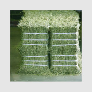 En gros Foin d'alfalfa séché au soleil de qualité supérieure avec 18 % de protéines brutes minimum pour la production laitière et la prise de poids Global - Product Image 4