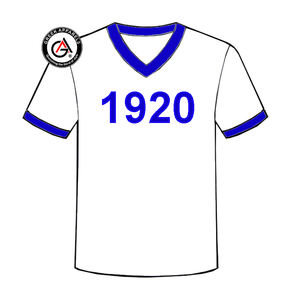 Zeta Phi Beta Soror Ropa de mujer de alta calidad Camisas de mujer al por mayor Manga corta Moda Unisex Cuello en V Camisetas de mujer - Product Image 2