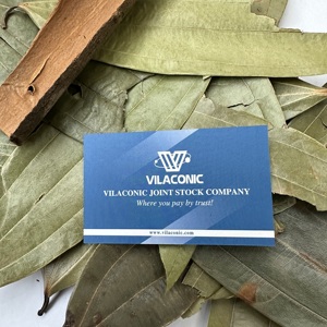 Venta al por mayor de alta calidad, hoja de Casia, canela, especias y hierbas secas individuales de Vietnam disponibles-Cinnamomum Cassia / ANNA DO VILA - Product Image 2