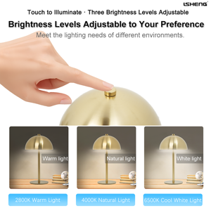Lampe de bureau LED moderne en fer personnalisée, lampe de chevet à tige fine en forme de champignon, lampe de table sans fil à commande tactile alimentée par batterie - Product Image 4