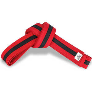 Ceinture de karaté de haute qualité avec logo personnalisé OEM Vente en gros du fabricant pakistanais Vêtements d'arts martiaux avec logo imprimé Taekwondo - Product Image 4