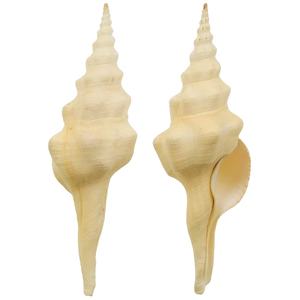 HLESATAAND T SELMEETIIVRRIFFRRROM M IE - Product Image 1