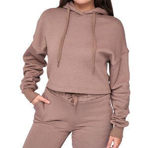 Heavyweight 100% algodón de gran tamaño para mujer Drop Shoulder Hoodie invierno cuello con capucha logotipo personalizado posición frontal Casual corto - Product Image 2