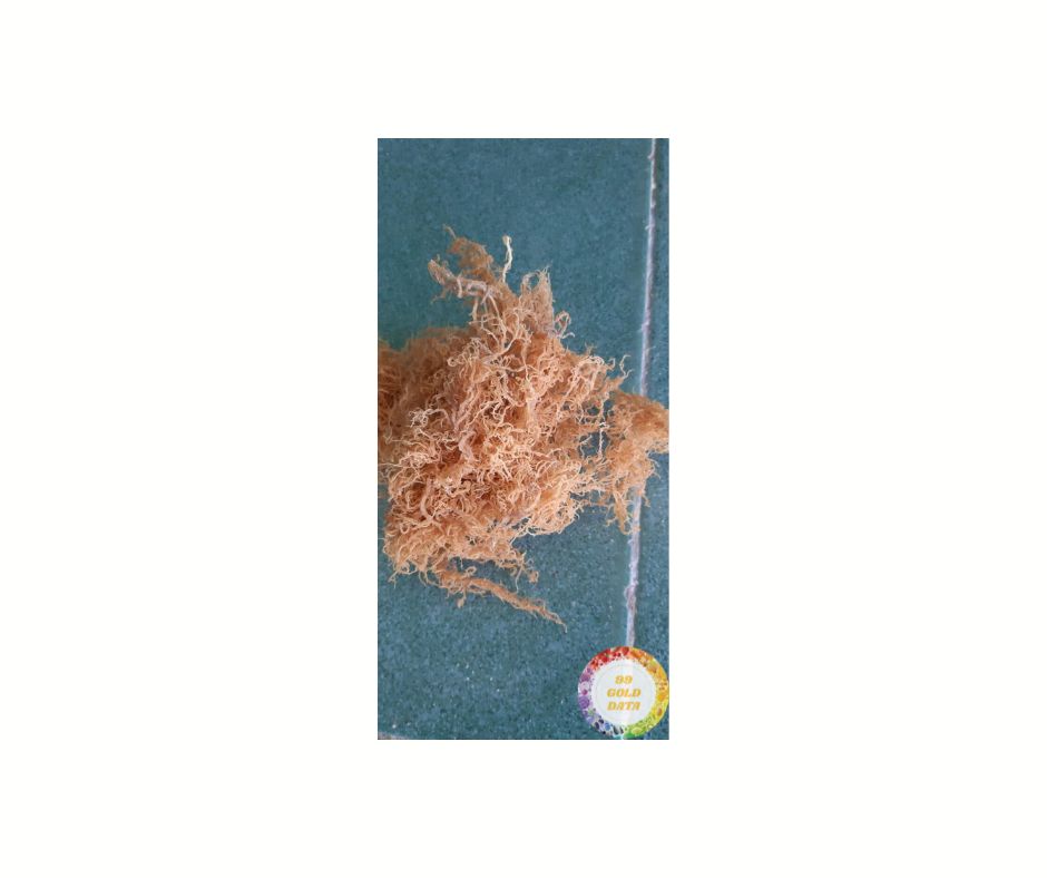 Vietnam Cottonii морские водоросли: высокое качество для кулинарной и косметической промышленности, экспортируется от ведущих поставщиков для мировых рынков