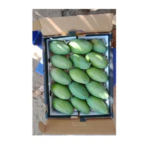 100% Natural Top Quality Atacado Fornecimento Delicioso Sabor Maravilhoso Frutas Frescas Mangas do Egito Origem Fornecedor